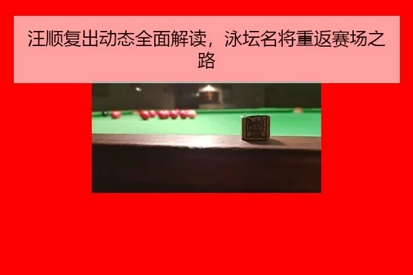 wang-shun-fu-chu-dong-tai-quan-mian-jie-du-yong-tan-ming-jiang-chong-fan-sai-chang-zhi-lu-2-573.jpg